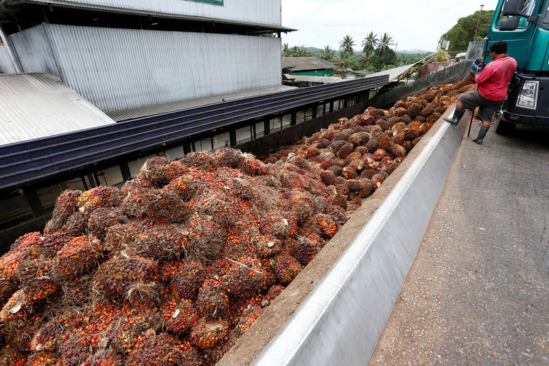 Malaysia in last ditch effort to avert EU palm oil curbs
