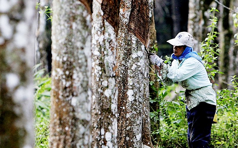 Rubber industry has lost its bounce, admits minister