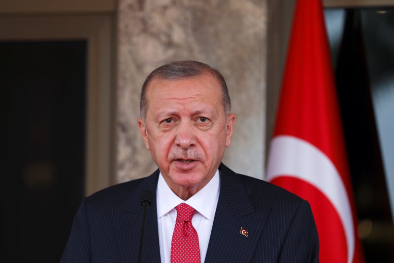 Turkey's Erdogan said to welcome embassies' statements amid expulsions row