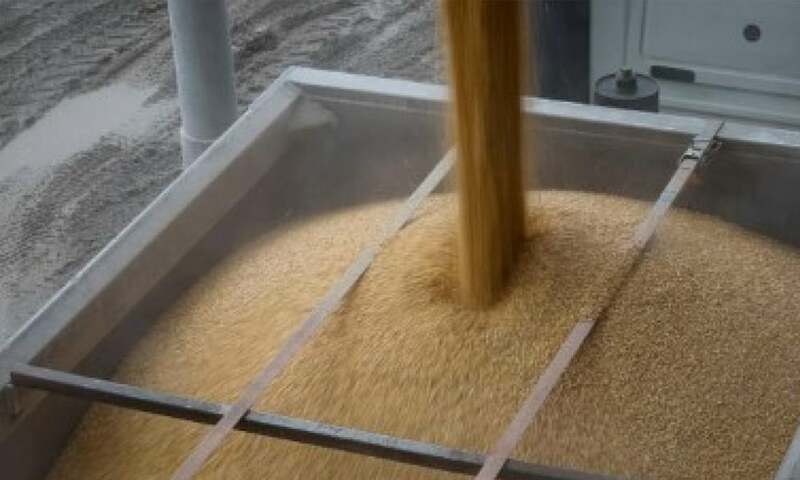 Farmers of southern Ukraine begin 2024 grain sowing