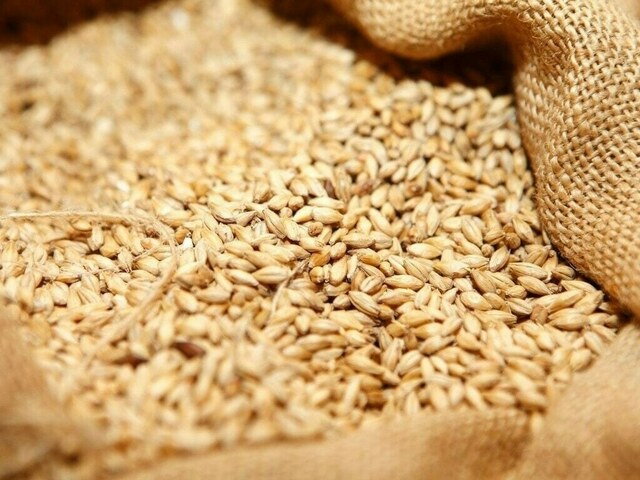Chicago wheat rises on global demand