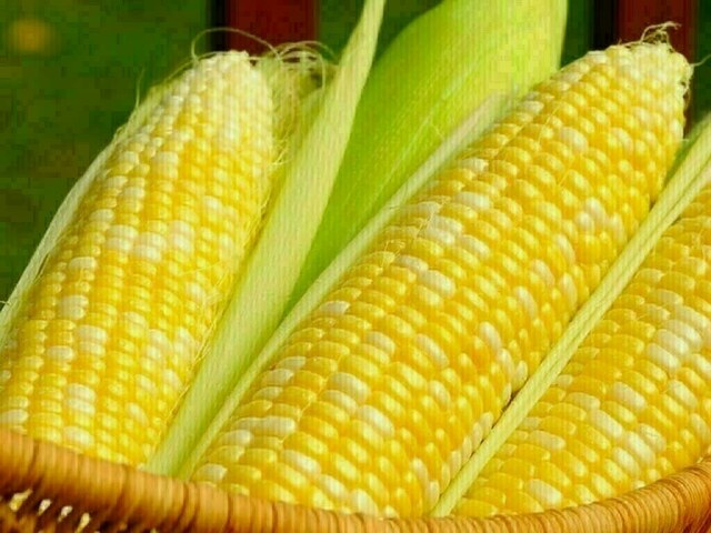 Corn hits 3-month high