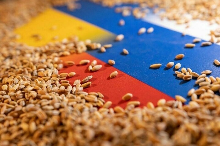 Russian wheat export prices continue to rise