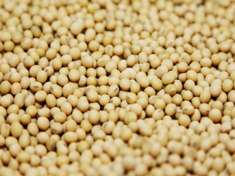 Soybeans ease from 6-week high, but Brazilian crop woes limit downside