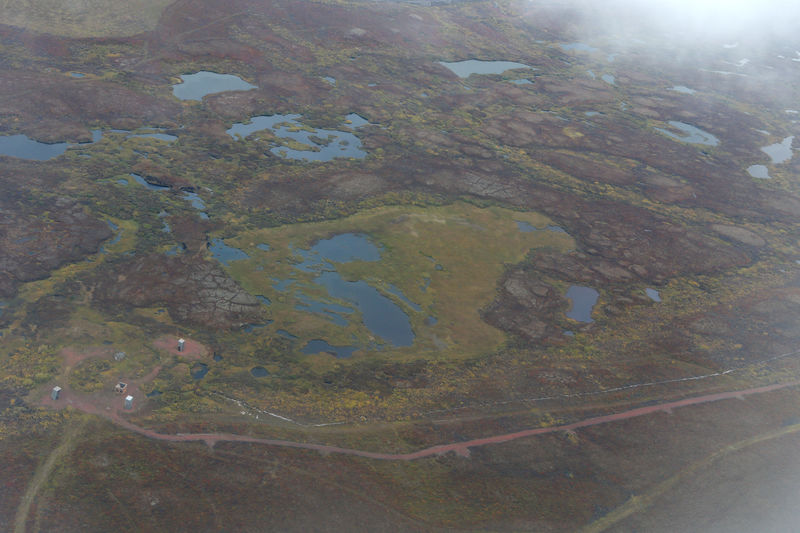 Above the Russian Arctic Circle, prisoners of Putin