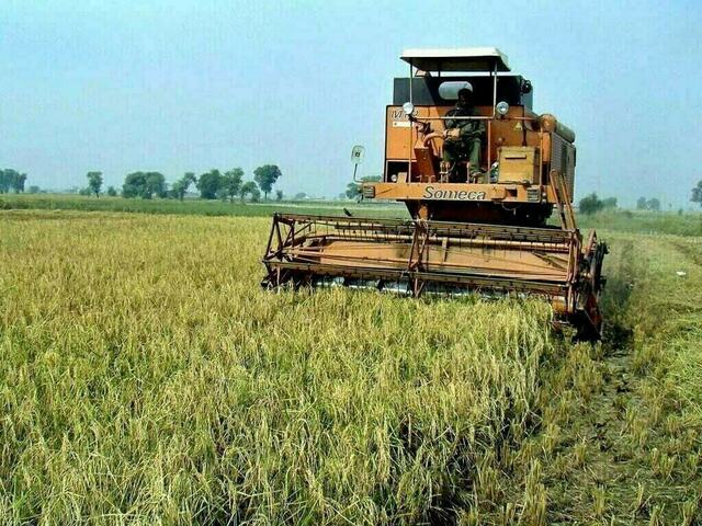 Agri sector development: 19-year plan to be announced within two months: minister