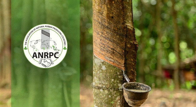 ANRPC: Natural rubber production impacted by flooding, tree disease