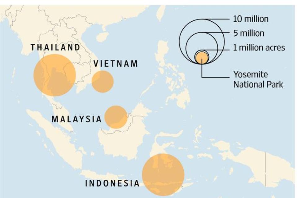 As Rubber Prices Slump, Big Players Stretch Out in Southeast Asia