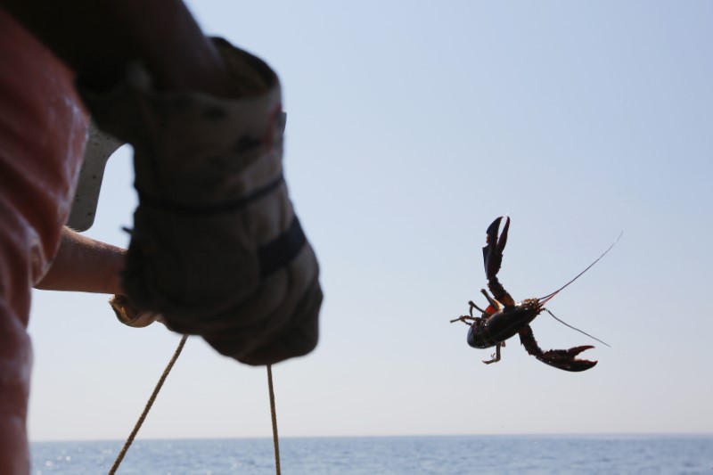 As U.S. and Canada spar, farm hopes ride on two men in lobster boat