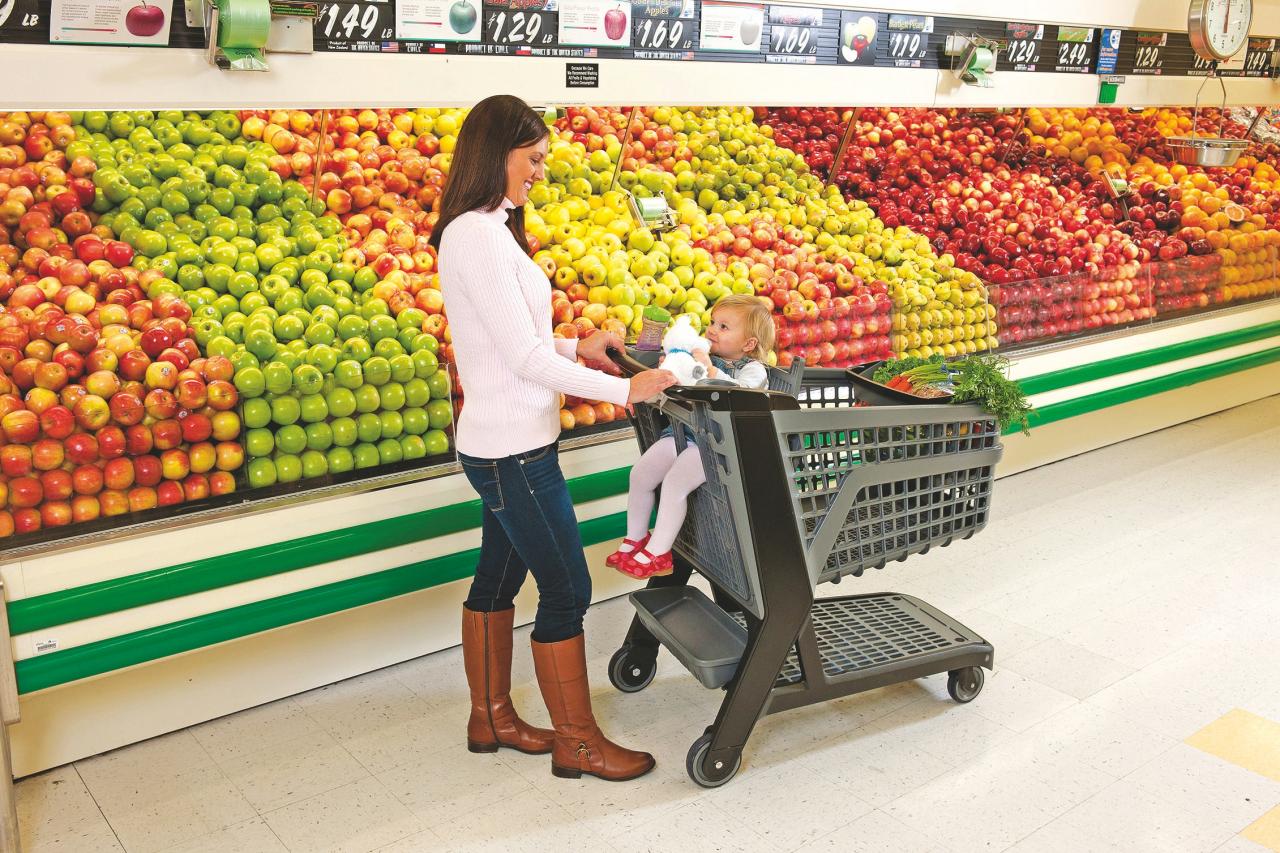 Bemis develops line of all-plastic shopping carts