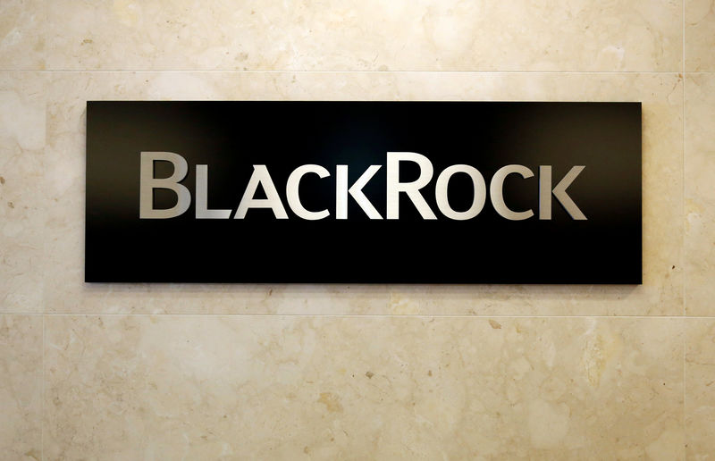 BlackRock sees biggest European fund inflows in 2017: Morningstar