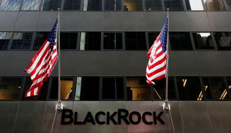 BlackRock to give clients more say on holding companies to account