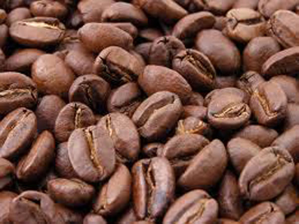 Brazil 2015/16 coffee crop pegged at 48.3mn bags