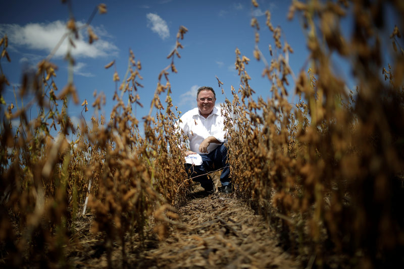 Brazil ready if China removes tariffs on U.S. soy: minister