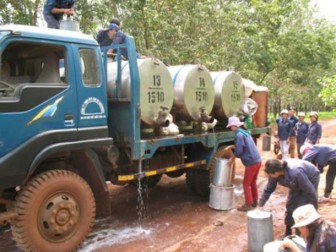 Cambodia’s Rubber exports + 12%, revenues off 27% in 1st 9 months of Y 2012