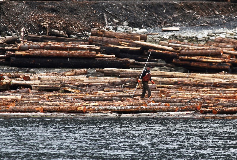 Canada criticizes U.S. softwood lumber duties, vows to resist