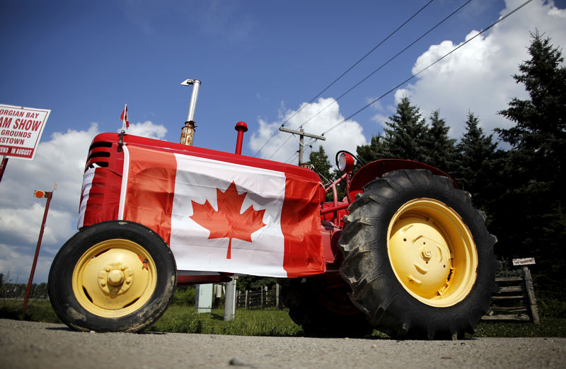 Canadian dairies get significant control over imports under TPP