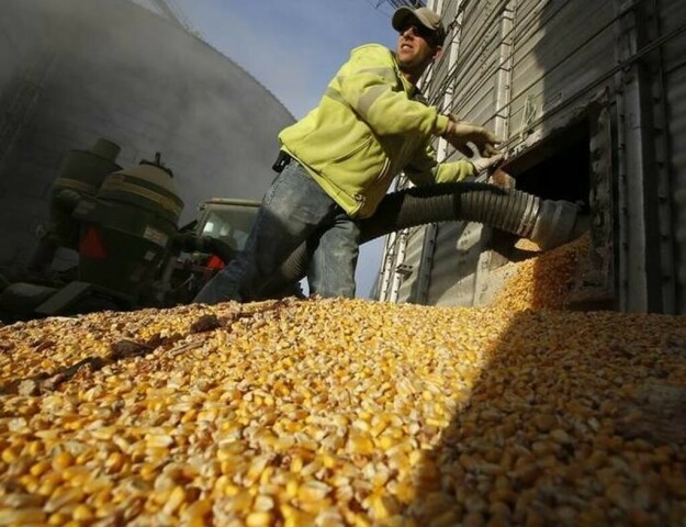 CBOT corn may fall towards .52 before rising in Q3