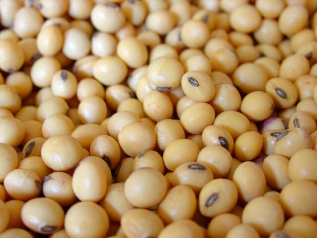 CBOT soyabean futures ease