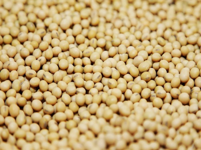 Soy futures soar on US weather woes