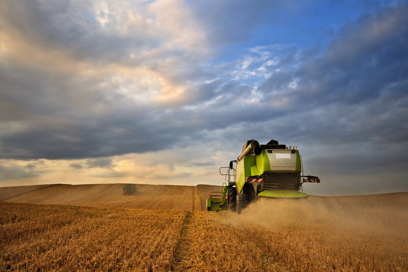 Chicago Wheat Surges 8% To Maximum Daily Limit At .4875/Bu - Bloomberg