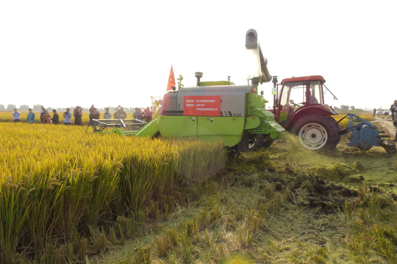 China commerce ministry says regrets WTO ruling on wheat, rice subsidies