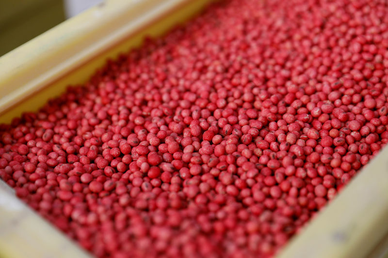 China has ample soybean supplies, big price moves unlikely: agriculture ministry