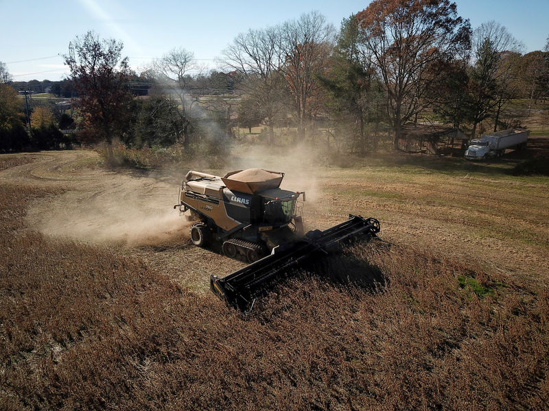 China January soybean imports from U.S. nearly double vs. December: customs