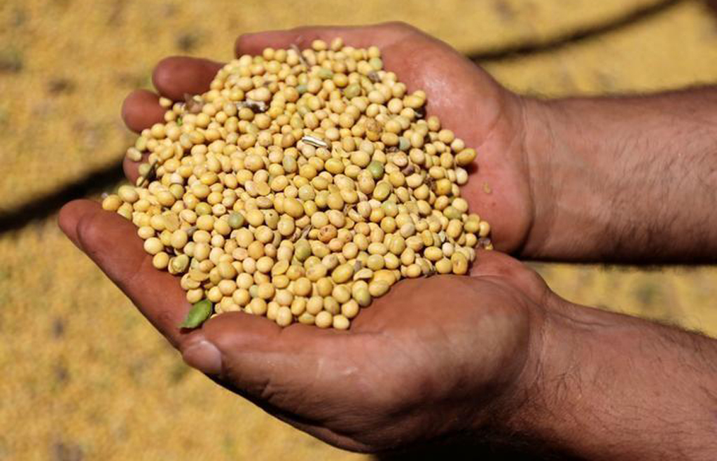 China September soybean imports from Brazil jump 28pc on year