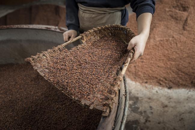 China to End Anti-Dumping Probe on U.S. Sorghum Imports