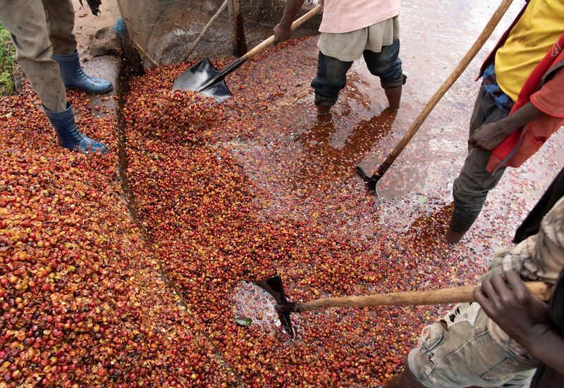 Coffee prices seen rising nearly 25 percent by year-end: Reuters poll