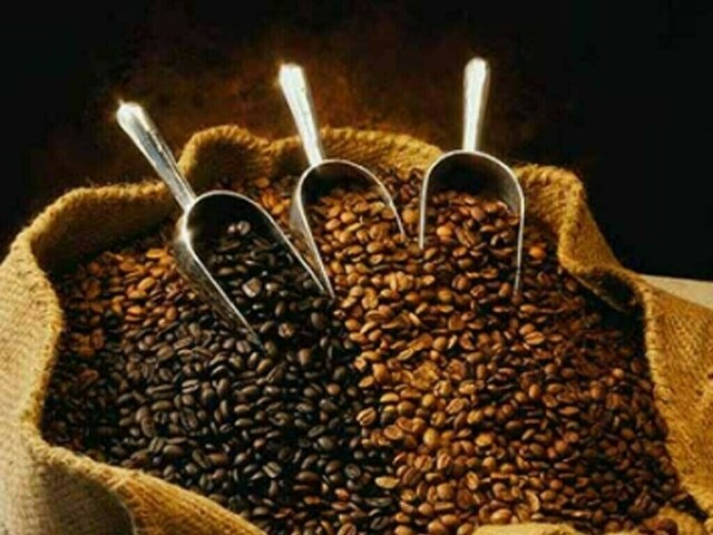 Coffee sets 12-year high