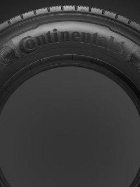 Continental Tire Turns to Dandelions for Easily Accessible Natural Rubber