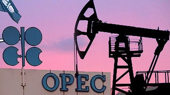 Crude oil futures rebound on bullish OPEC, EIA data