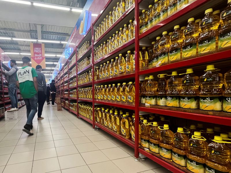 Currency, inflation woes in focus as Egypt