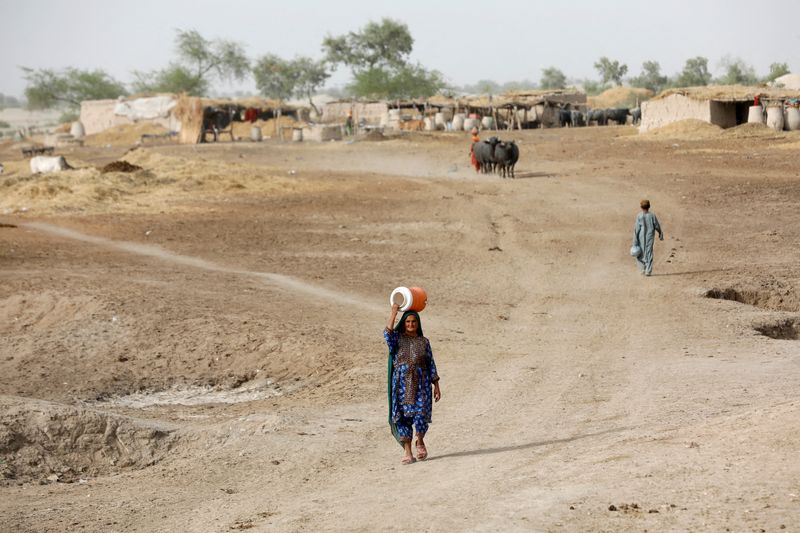 Deadly humid heat could hit billions, spread as far as US Midwest, study says