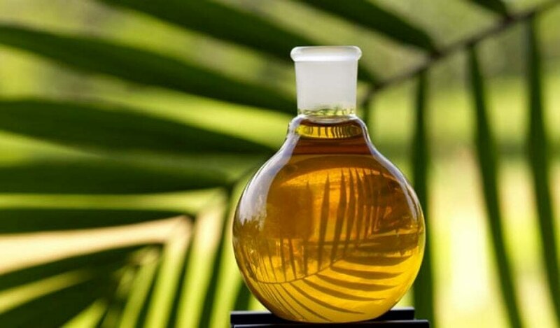 Egypt buys local vegetable oils, cancels international tender