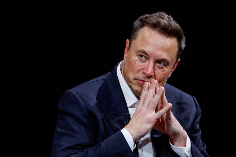 Elon Musk wades into German debate over migration