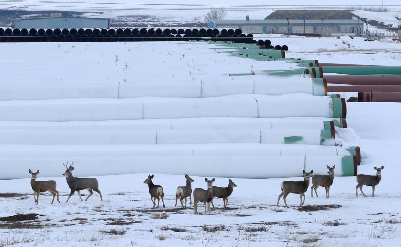 Energy pipelines back in investor favor after Trump orders