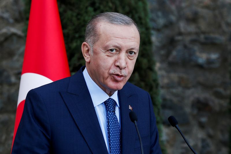 Erdogan says he hopes volatile Turkish lira will steady soon