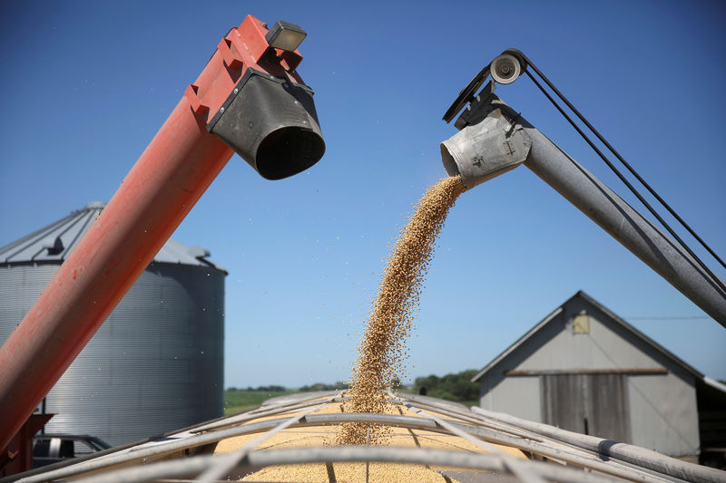 EU calms U.S. trade ties by accepting U.S. soybeans in biofuel