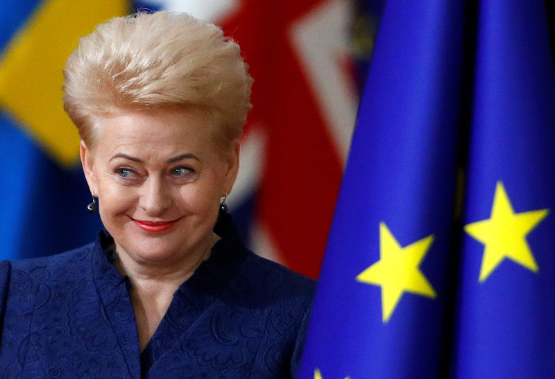 EU not in rush to reform euro zone as economy performing: Lithuanian president