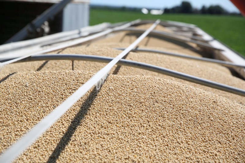 EU touts jump in soybean imports from U.S.