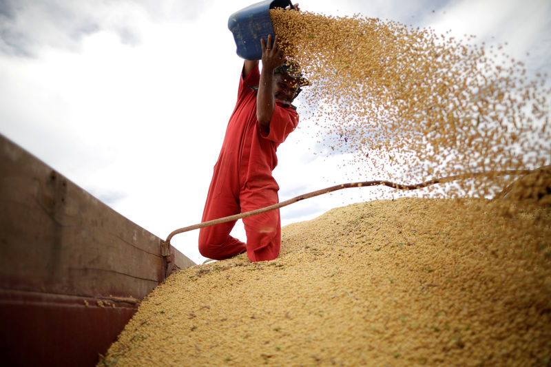 Exclusive: China makes first major buy of U.S. soybeans since Trump-Xi meet