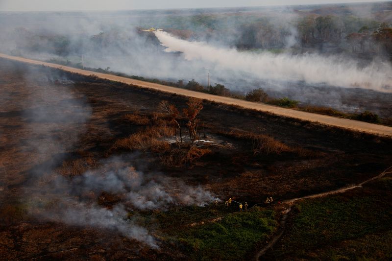 Exclusive-Top development banks to launch debt-for-nature swap 