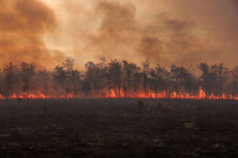 Explainer-How climate change is making the world sick