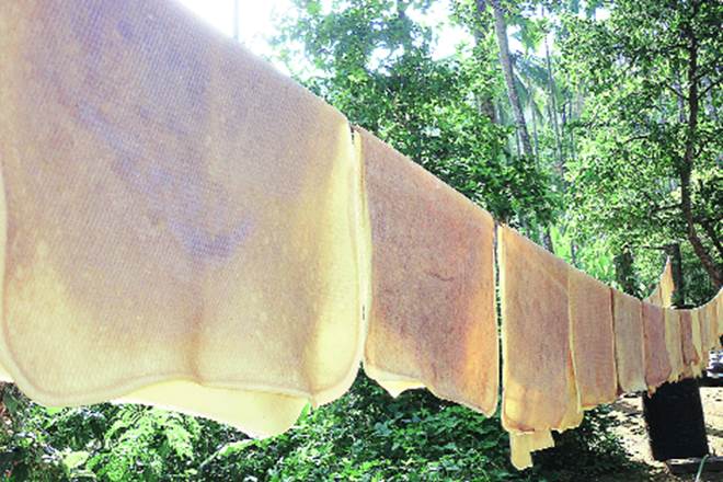 Export option excites rubber growers as domestic prices fall