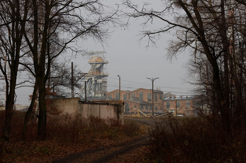 Farewell to coal: a Polish city wakes up and smells the blossom