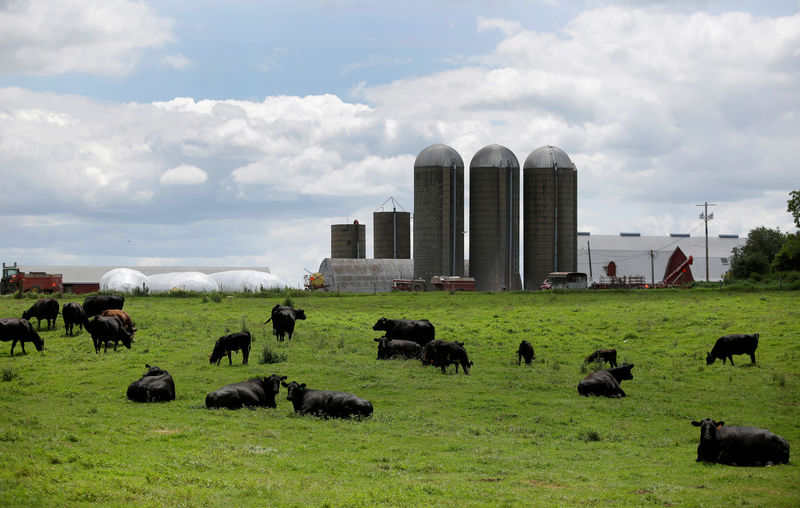 Farm, automaker groups press U.S. officials to push for more EU access