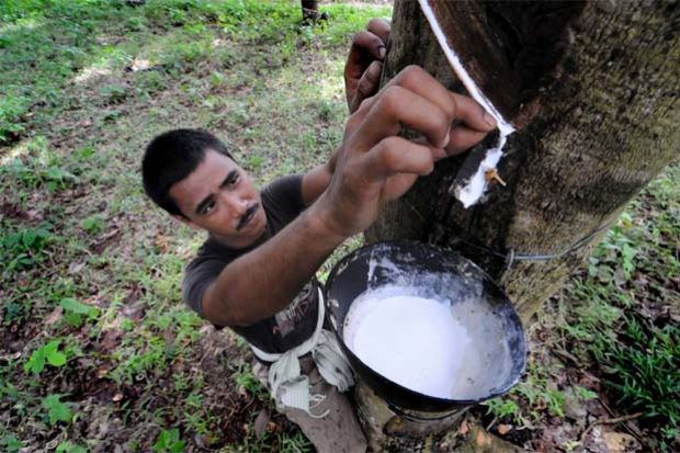 Floods hit rubber output in Kerala, M